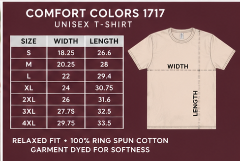 Southgate Titans Friday Night Lights Tee | STA Football Shirt | Game Day Spirit Shirt | Titan Fan Apparel | Comfort Colors Graphic Tee